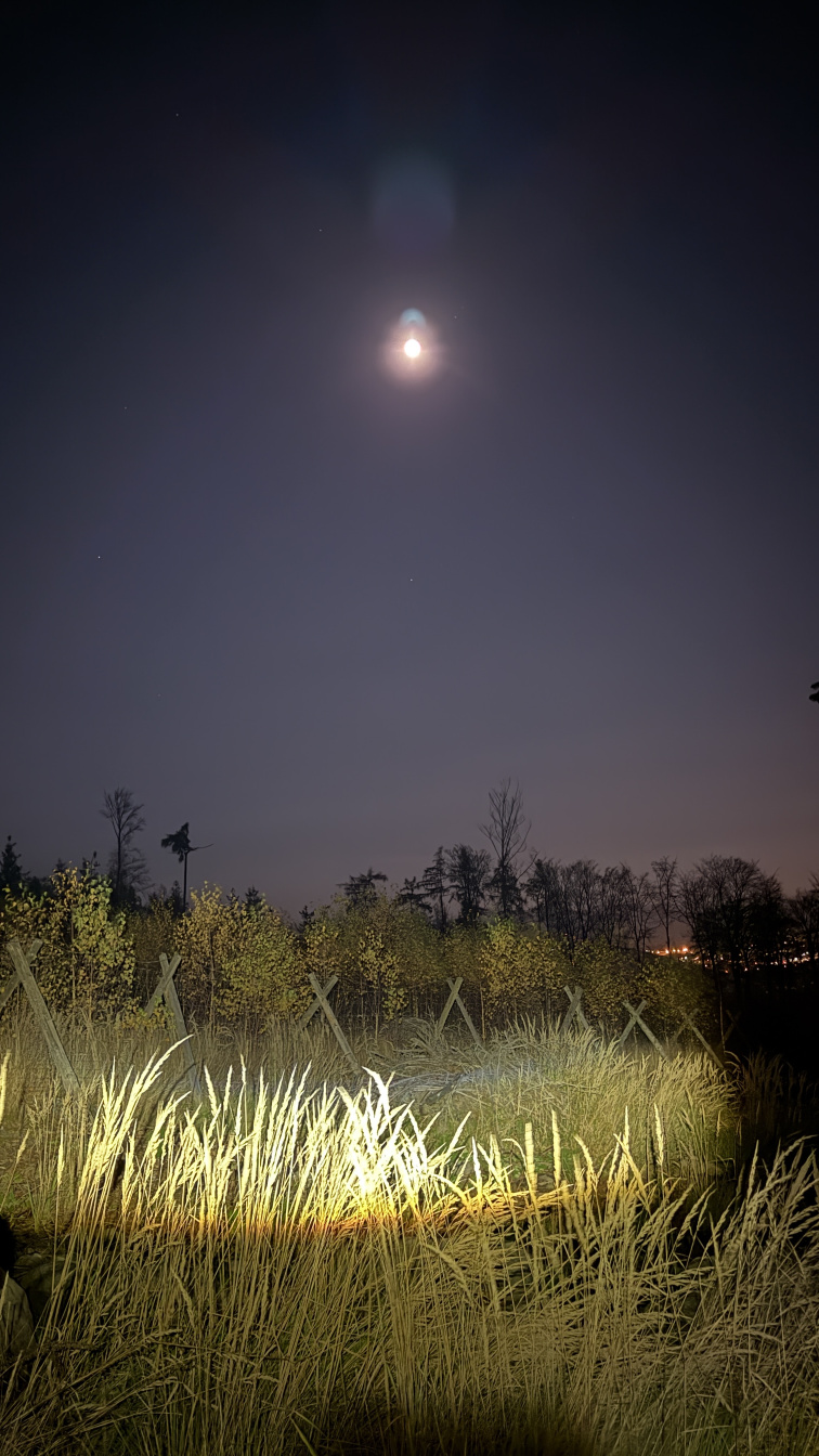 Večerní dobrodružství na dvou kolech: E-bikové čtvrtky, které musíš zažít!