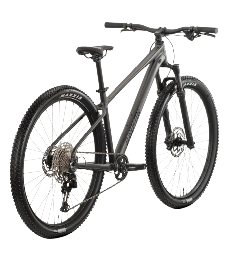 Horské kolo Raymon Ultra 29"