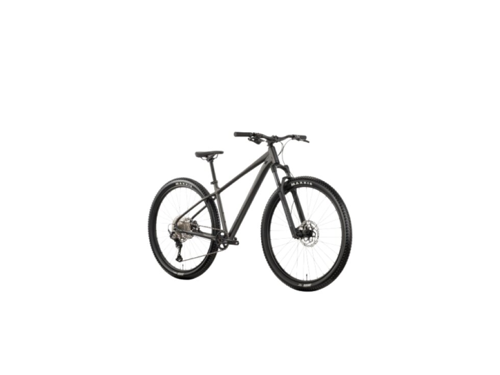 Horské kolo Raymon Ultra 29"