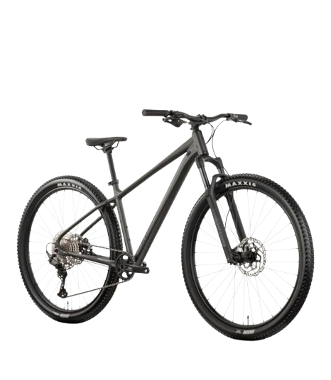 Horské kolo Raymon Ultra 29"
