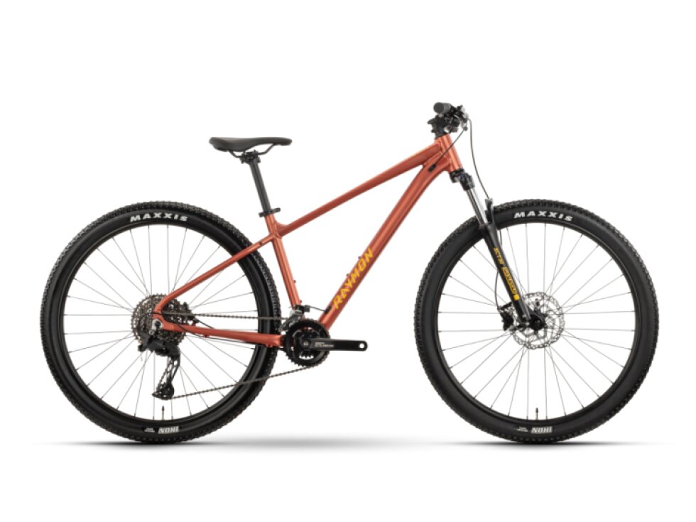 Raymon Nayta Pro 29"