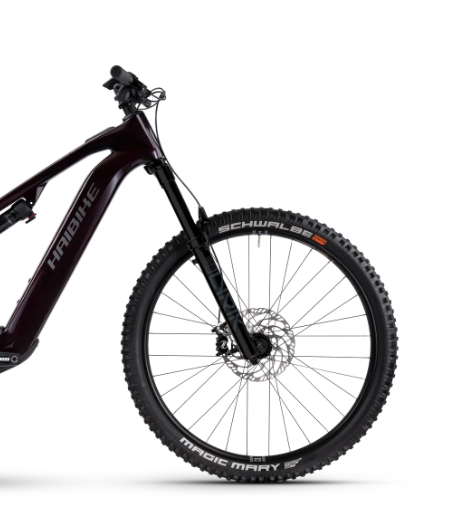 Haibike ALLMTN CF 9
