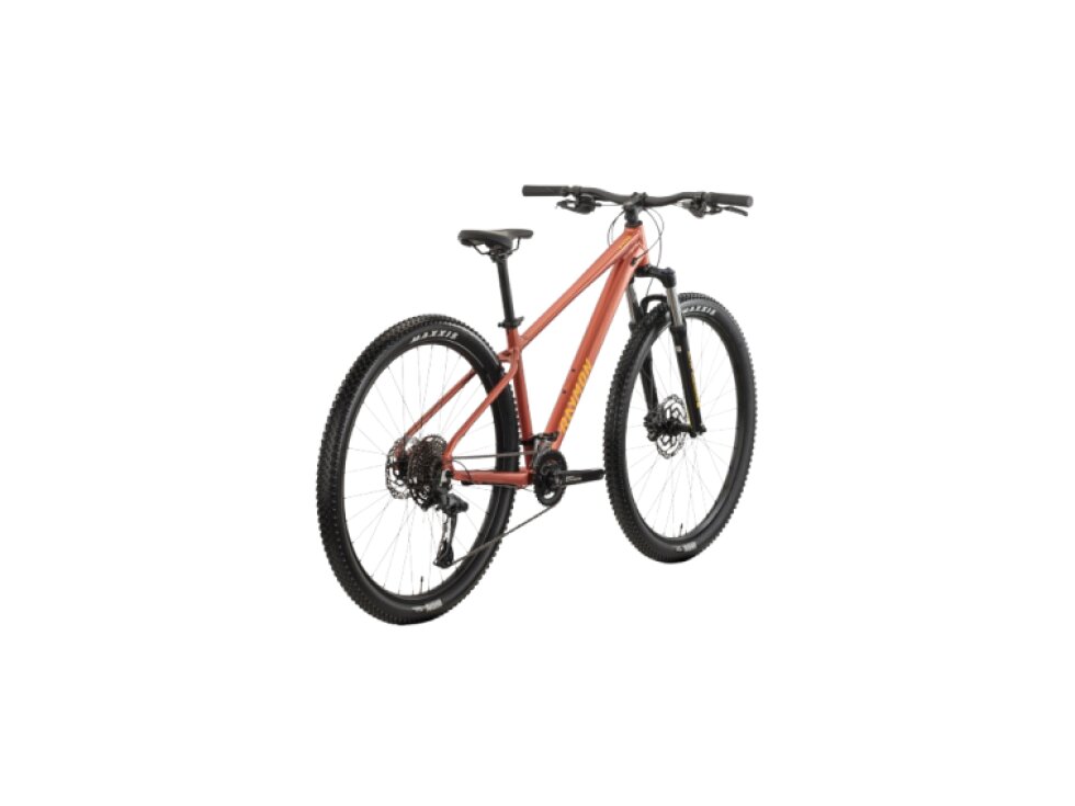 Raymon Nayta Pro 29"