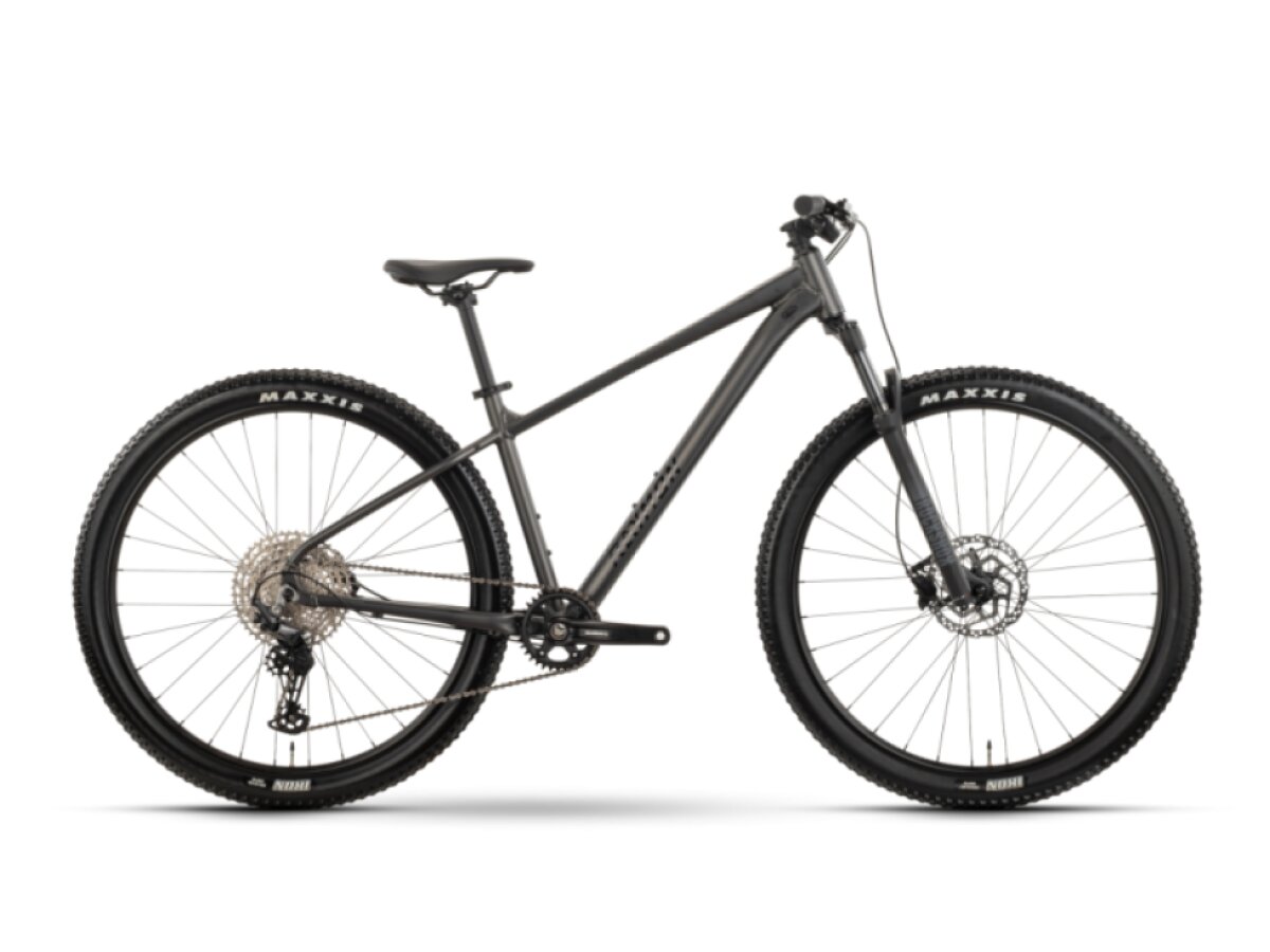 Horské kolo Raymon Ultra 29"