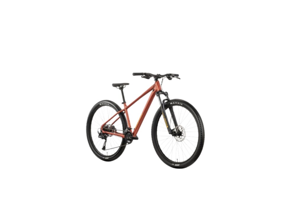 Raymon Nayta Pro 29"