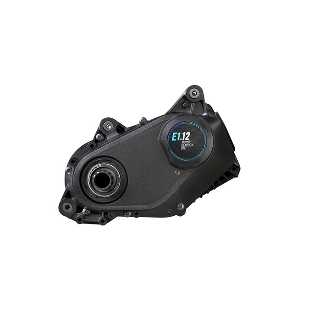 Haibike ALLMTN CF 10 TRN/IQ