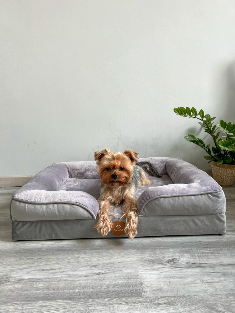 DynoPet pelech pre psa šedý M - 71 x 58