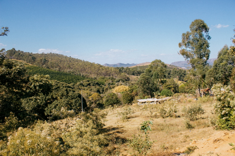KAFE, PROTOŽE KOKS JE MOC DRAHEJ