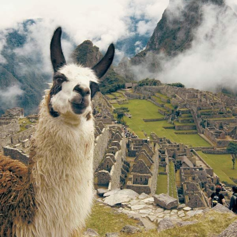 🇵🇪 PERU: andský kafe, který voní po pralese
