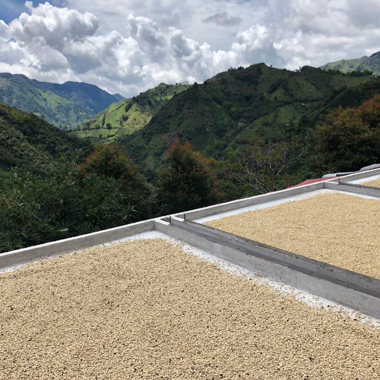 CHERRY BOMB - Colombia Espresso