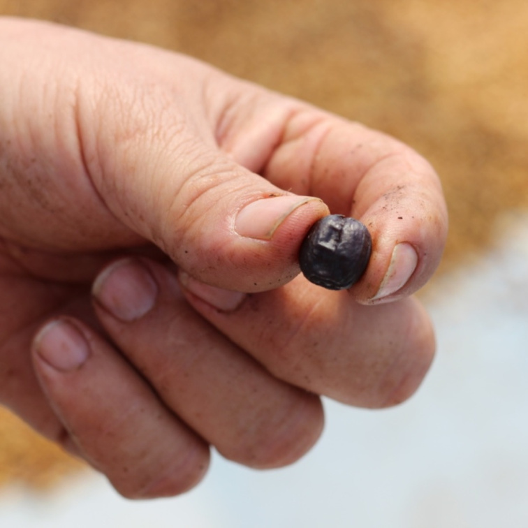 FEELS LIKE CHRISTMAS - Costa Rica Omni