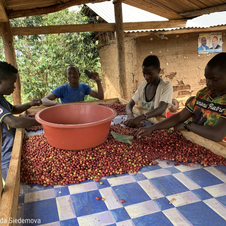 FEELS LIKE CHRISTMAS - Uganda Filter