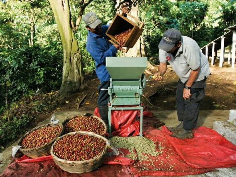 🇲🇽 MEXIKO: země hor, tradic & voňavýho kafe