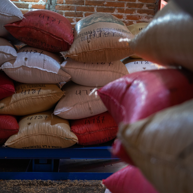 SWEETSHOP - Guatemala espresso