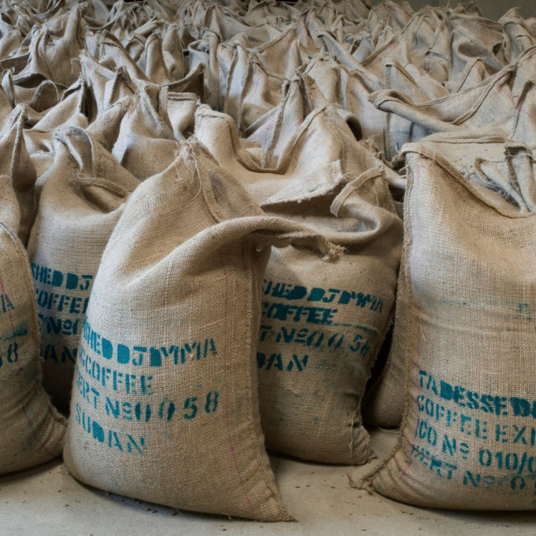 CESTA ZELENÝHO ZRNKA DO PRAŽÍRNY