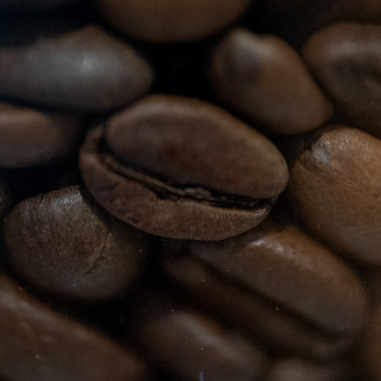 KOLIK KOFEINU ZABIJE SLONA: proč Ti ranní kafe pomáhá & neškodí