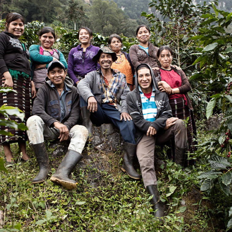 PEACHES&CREAM - Guatemala Filter