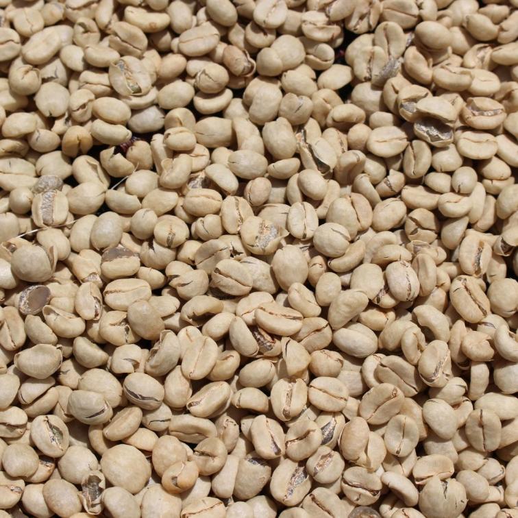 LADY MARMELADE - Kenya Filter