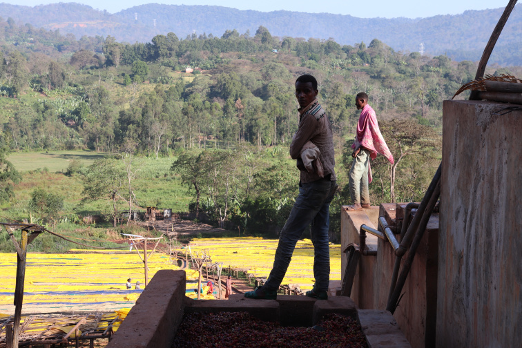 CANDYSHOP - Ethiopia Espresso