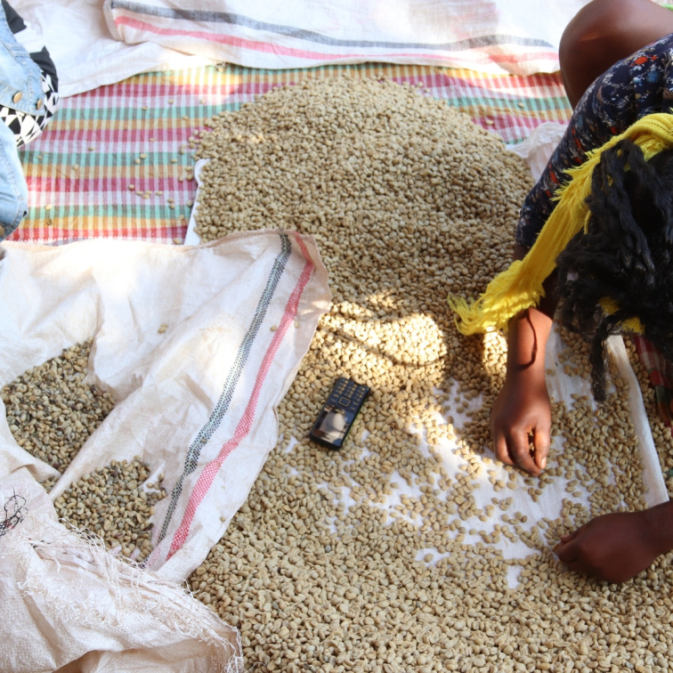 🇪🇹 ETIOPIE: kolébka kafe & země tisíců chutí