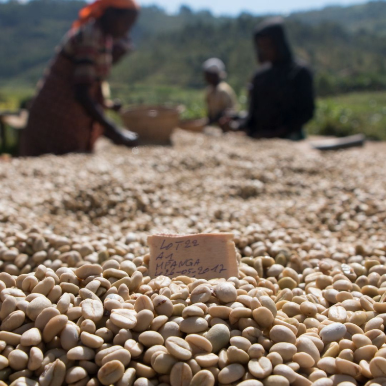 🇧🇮 BURUNDI: malá země s velkou chutí