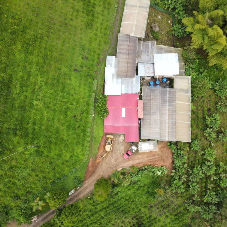 WELCOME TO PARADISE - Colombia Filter