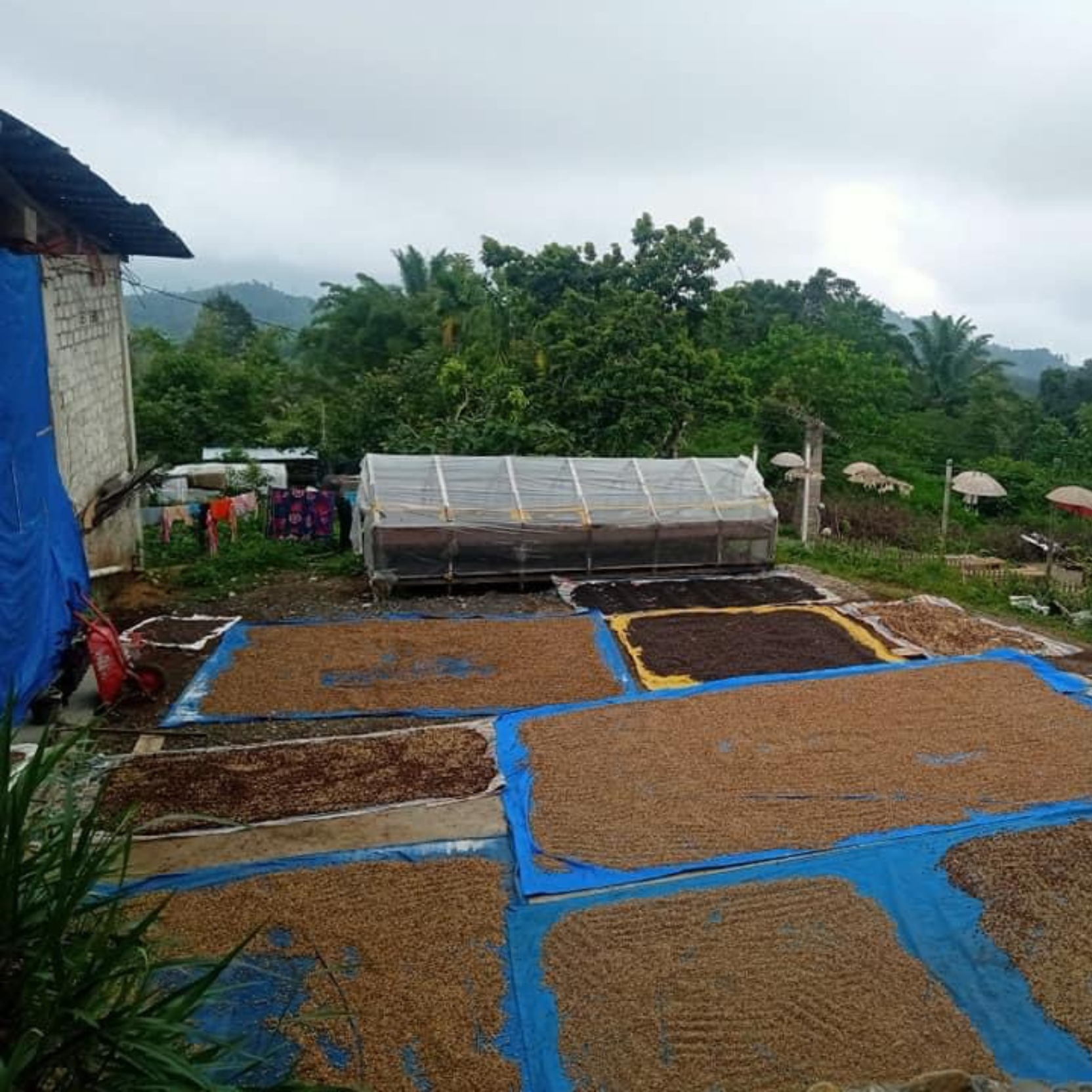 WANNA PIECE OF ME? - Indonesia Filter