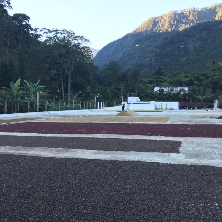 SWEETSHOP - Guatemala espresso