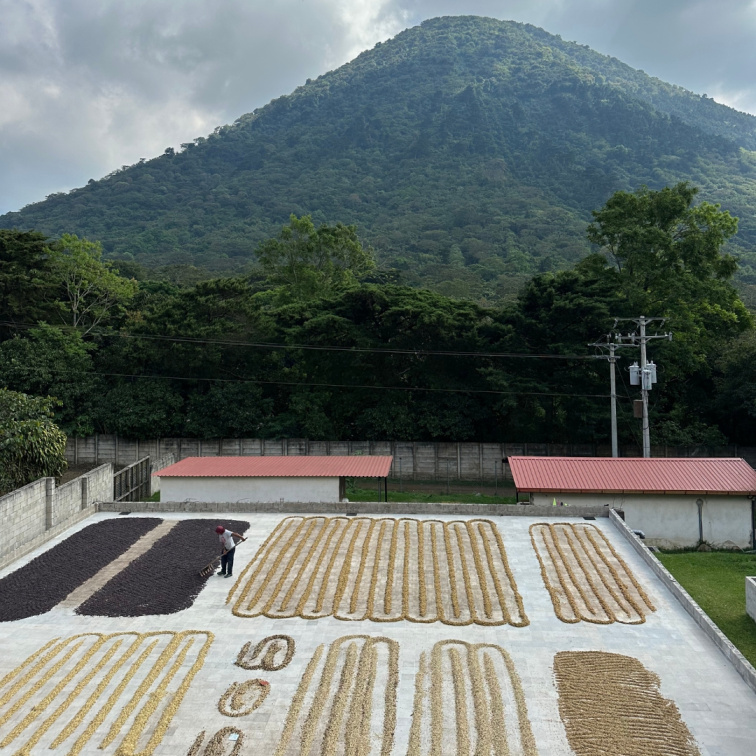 FEELS LIKE CHRISTMAS - El Salvador Omni