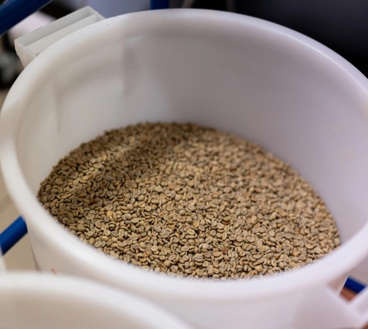 CESTA ZELENÝHO ZRNKA DO PRAŽÍRNY