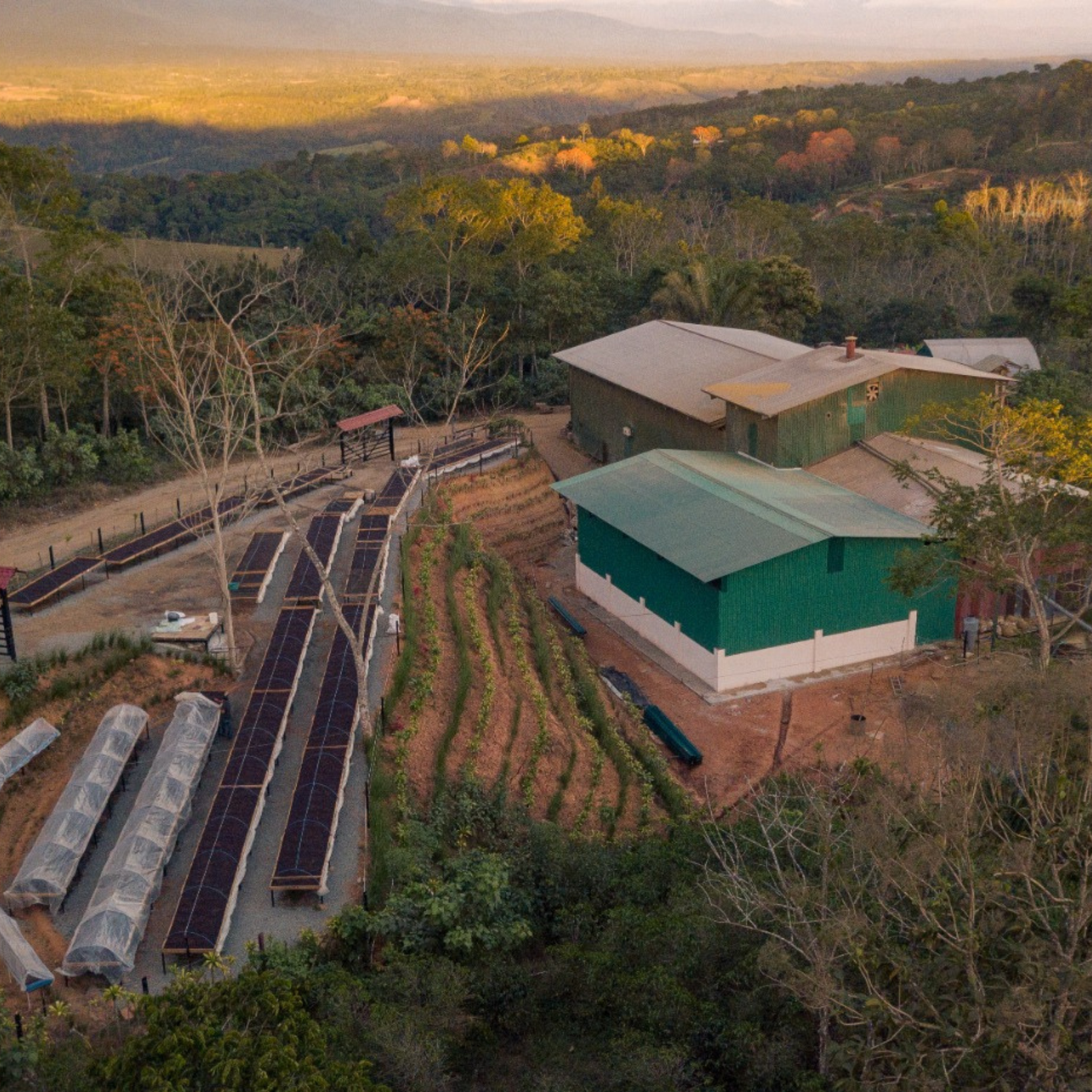 LUCKY SEVEN - Costa Rica Filter