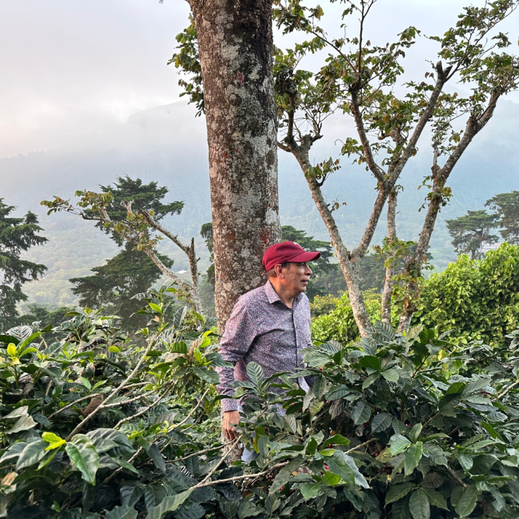 FEELS LIKE CHRISTMAS - El Salvador Omni