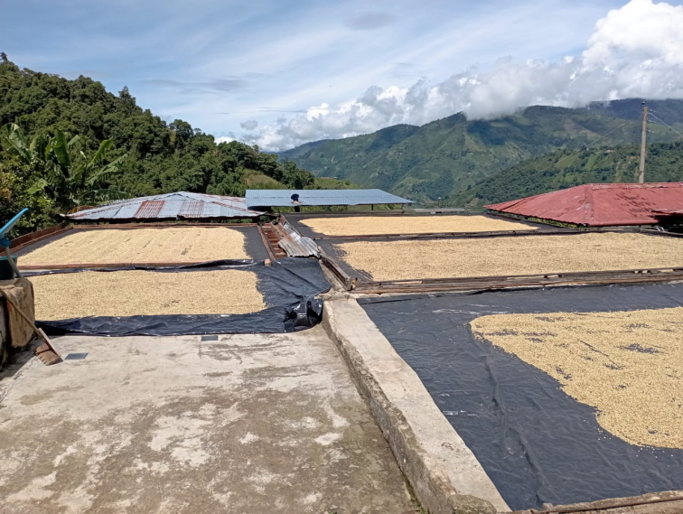 WELCOME TO PARADISE - Colombia Filter