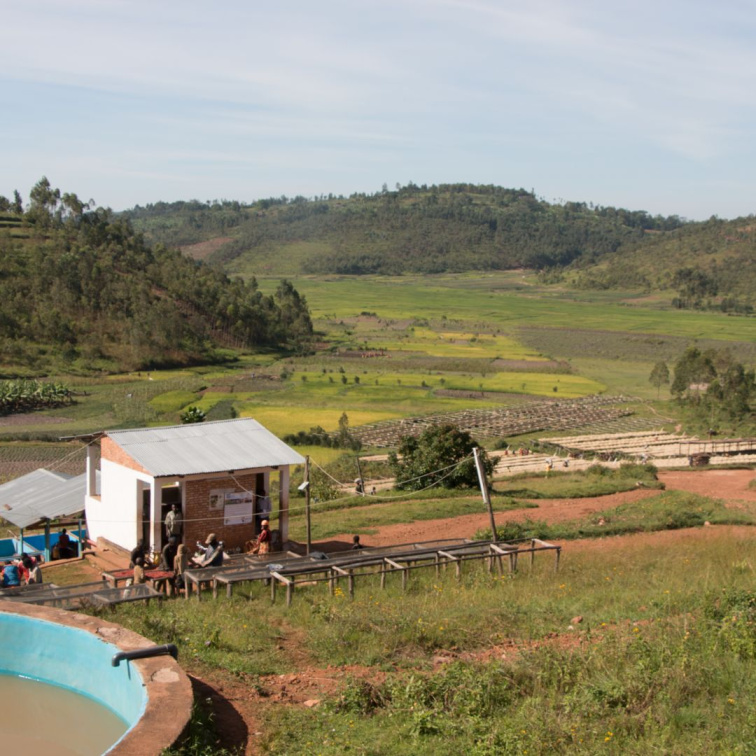 🇧🇮 BURUNDI: malá země s velkou chutí