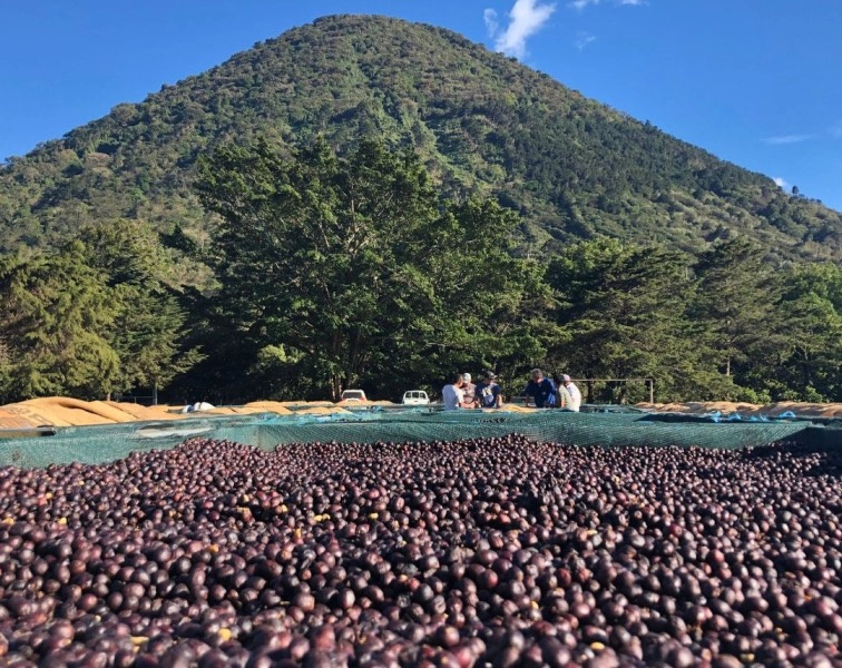 FEELS LIKE CHRISTMAS - El Salvador Omni