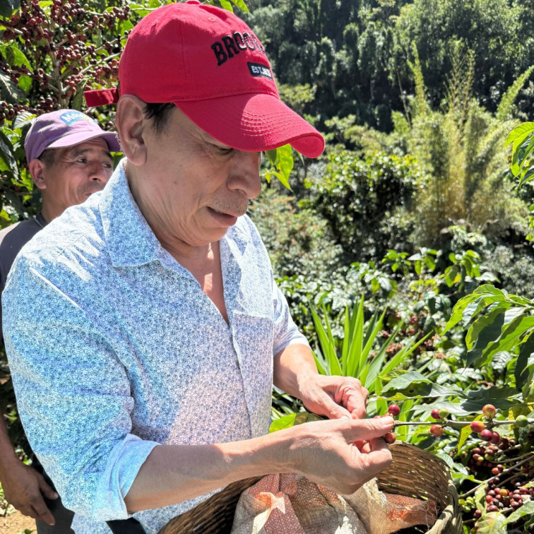 🇸🇻 EL SALVADOR: vulkány & kávový ambice