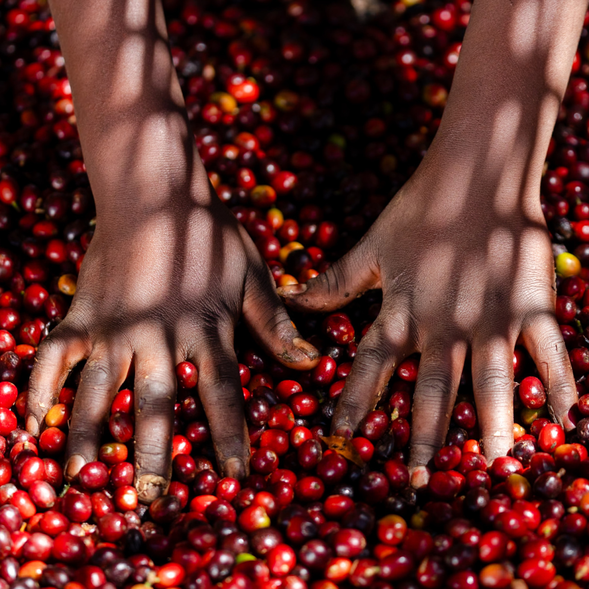 FEELS LIKE CHRISTMAS - Ethiopia Omni