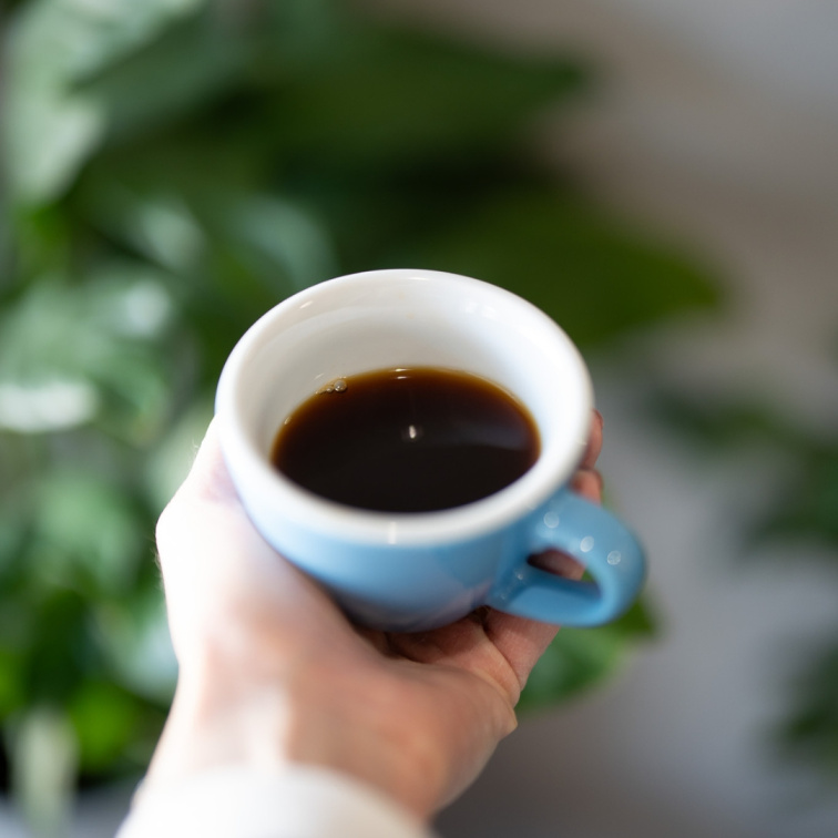 ČESKÁ POSEDLOST TURECKOU KÁVOU