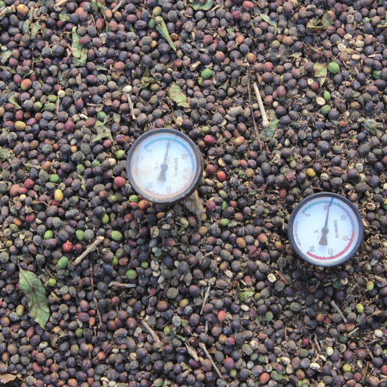 BITTERSWEET SYMPHONY - Brazil Espresso