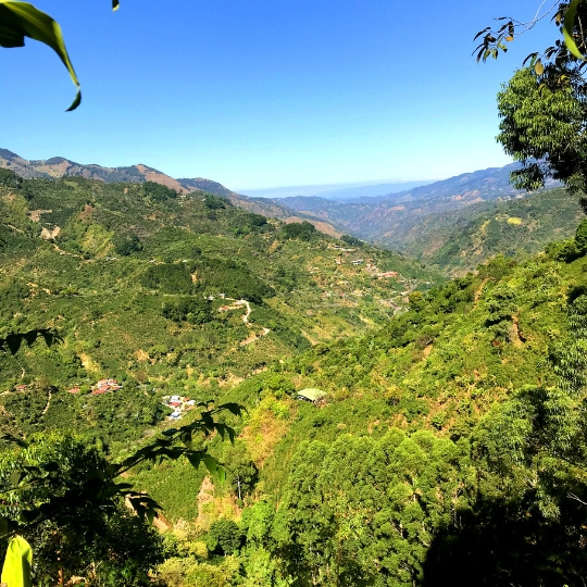 FEELS LIKE CHRISTMAS - Costa Rica Omni