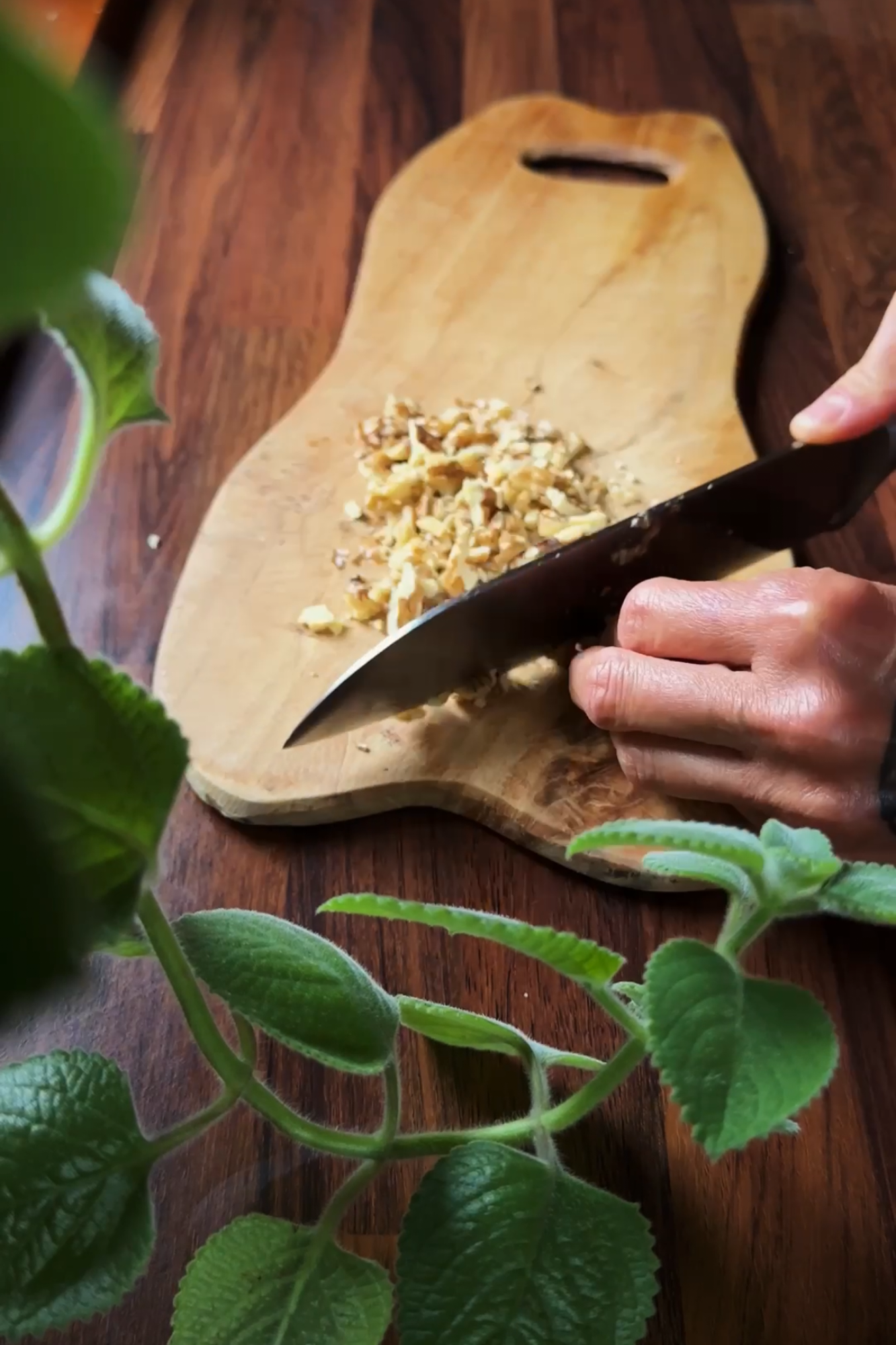 Recept na krémovou polévku s krevetami a vlašskými ořechy