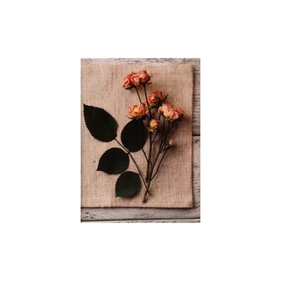 Fotoalbum 10x15 200 foto Wooden 3 růže