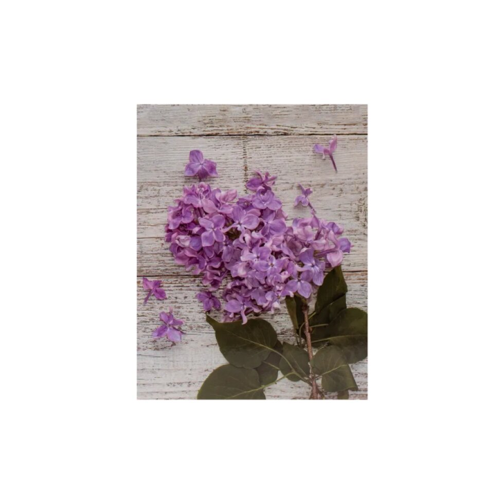 Fotoalbum 10x15 304 foto 2-up Flower 2 šeřík