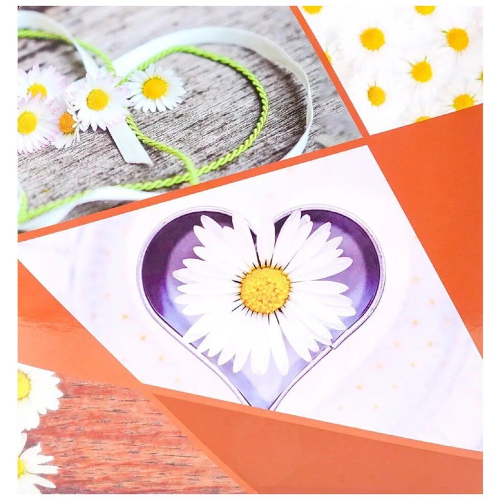 Fotoalbum 10x15 200 foto Garland 2