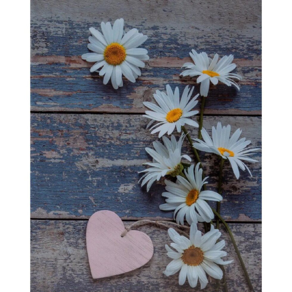 Fotoalbum 10x15 304 foto 2-up Flower heart 1