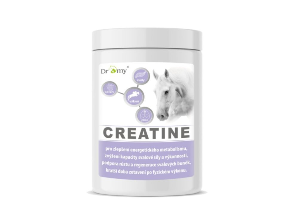 Dromy Creatin monohydrát 1kg