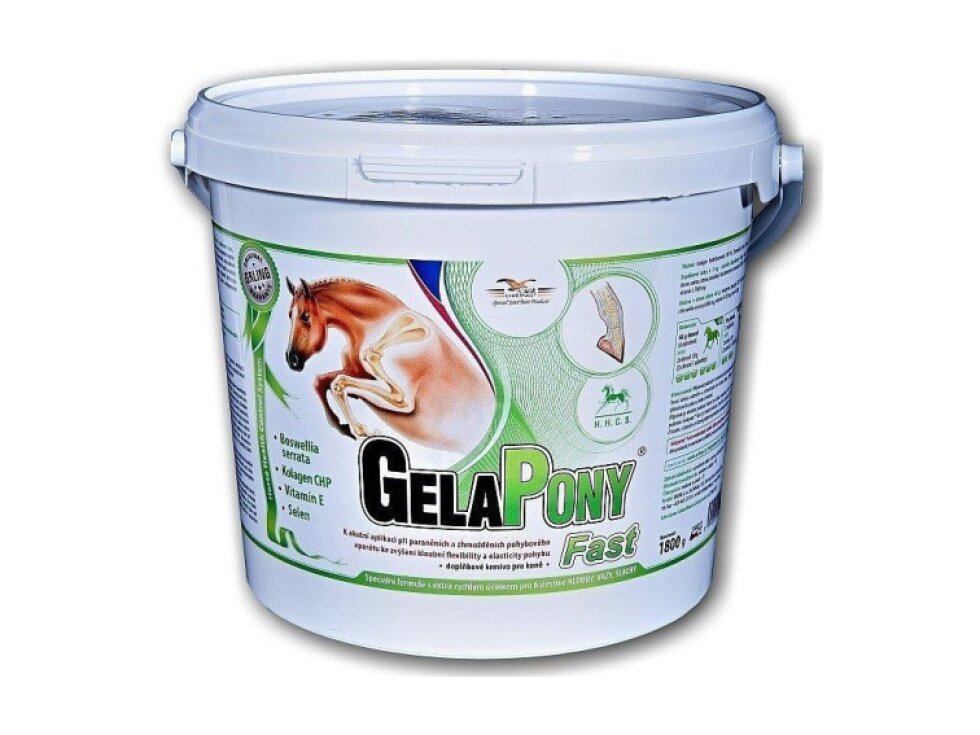 Gelapony Fast