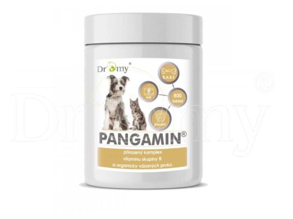 Dromy Pangamin®