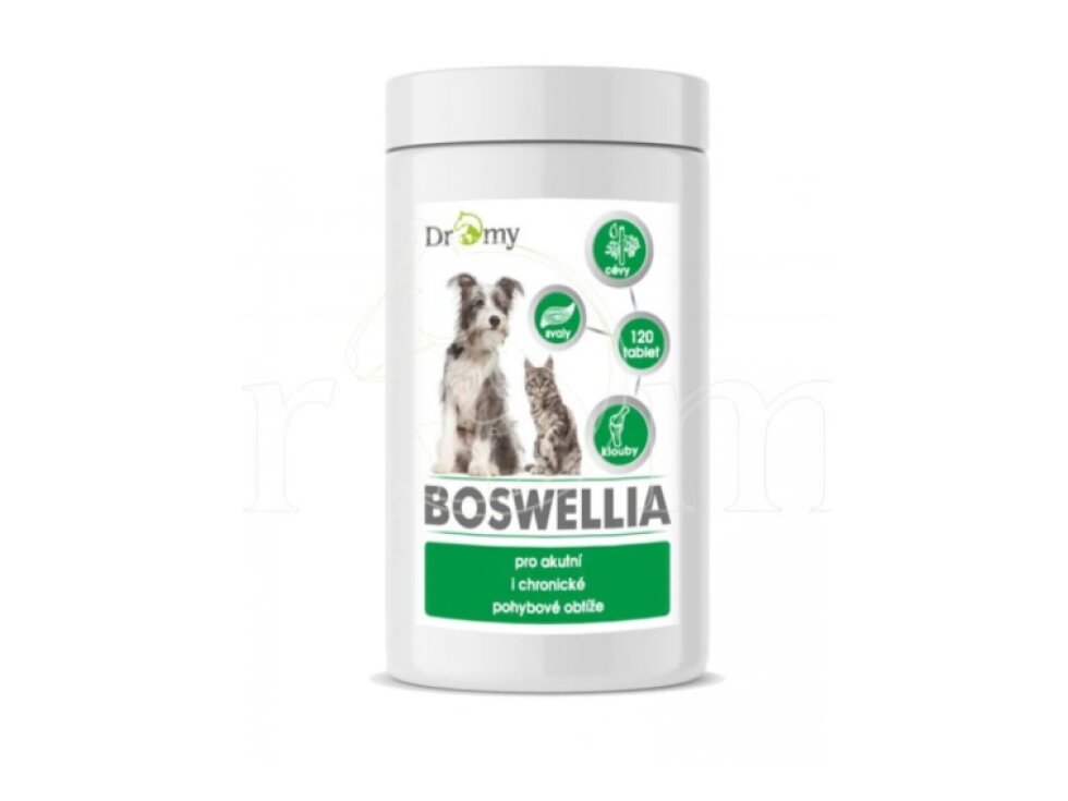 Dromy Boswellia 120 tbl.