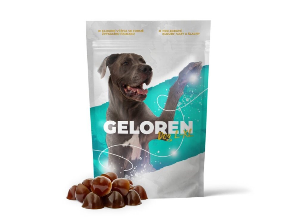 Geloren DOG L/XL 420g (60tbl)